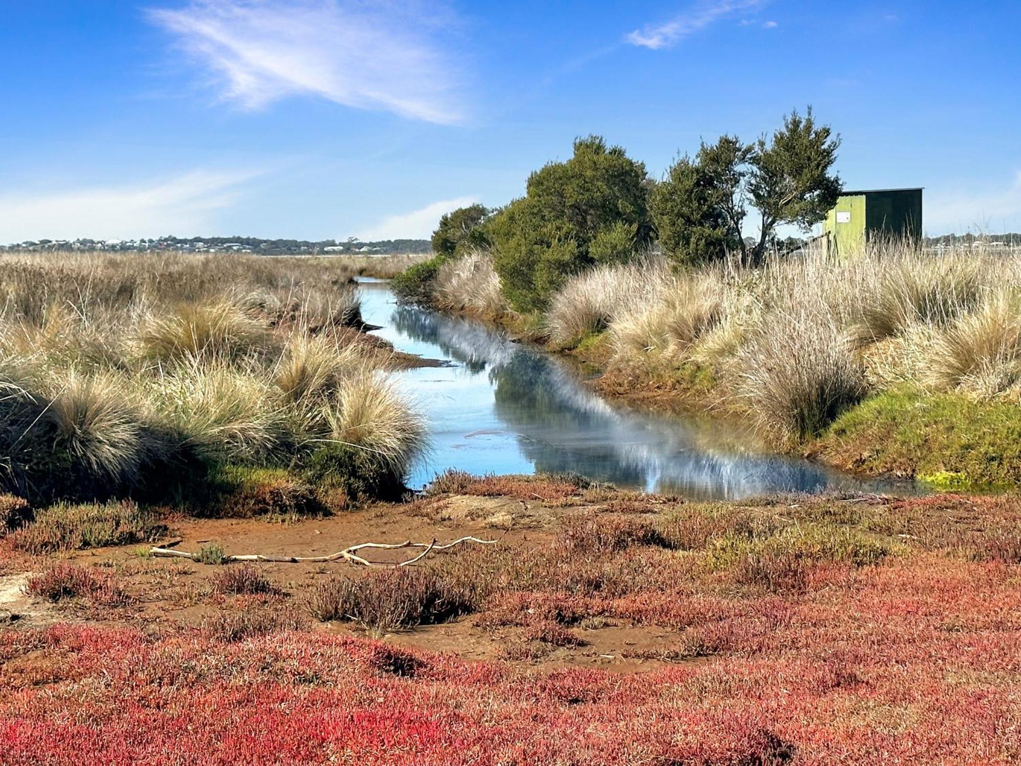 Pelican Point Sanctuary Сент-Хеленс Экстерьер фото