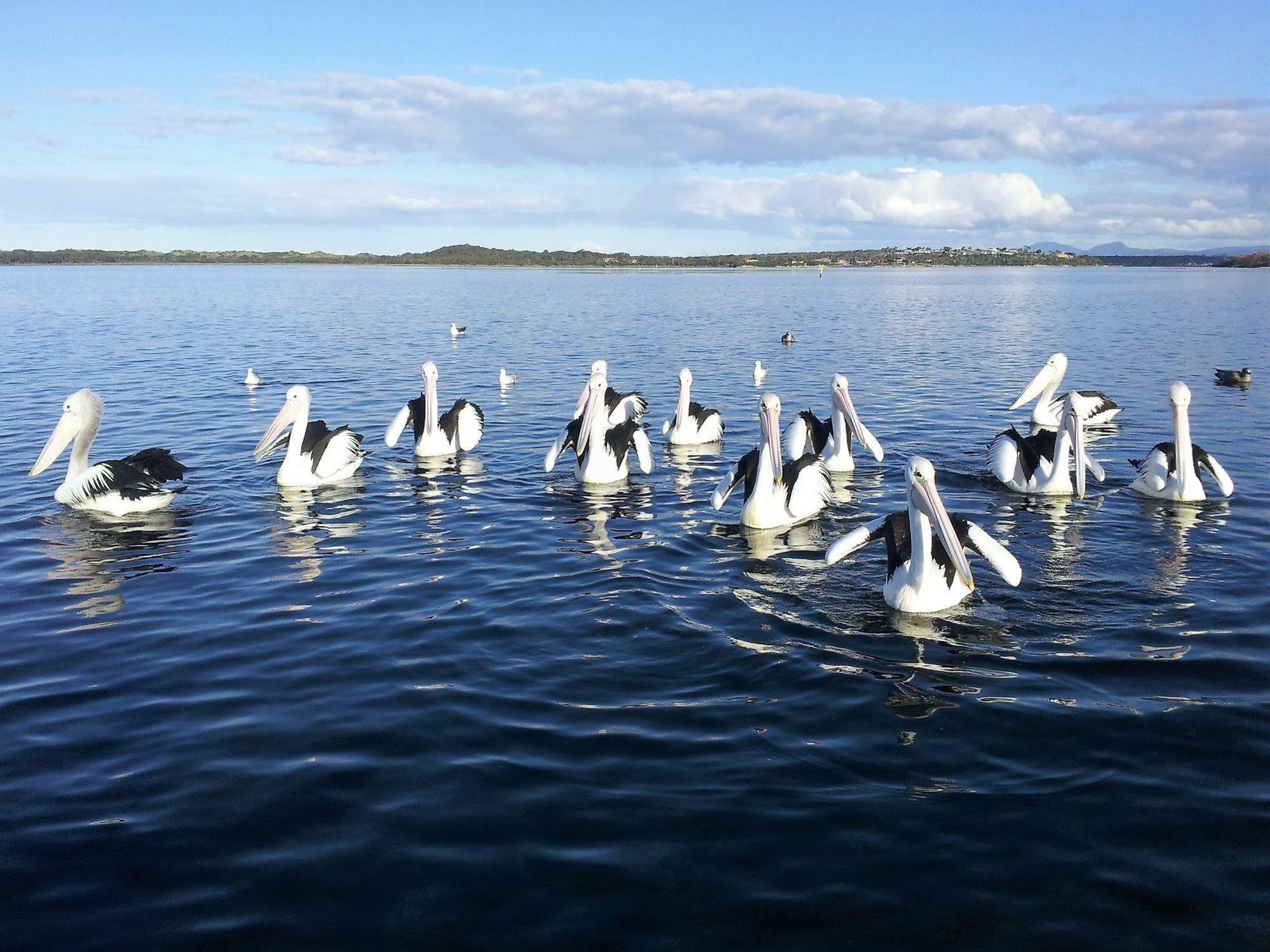 Pelican Point Sanctuary Сент-Хеленс Экстерьер фото
